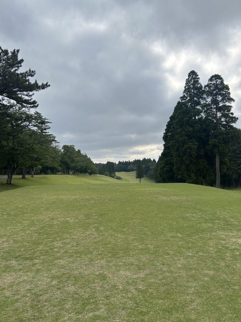 桜中コース1番ホール