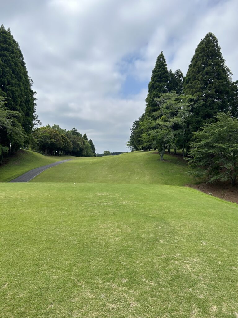桜中コース6番ホール（ロング・Par5 568yd）